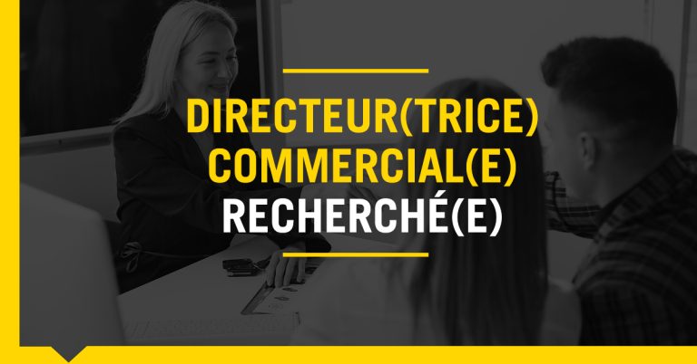 directeur commercial (f&i) qui discute avec des clients