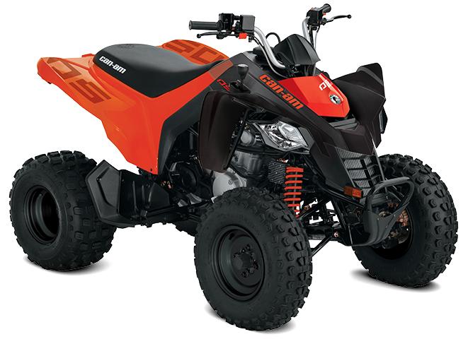 VTT CAN-AM DS 250 2025